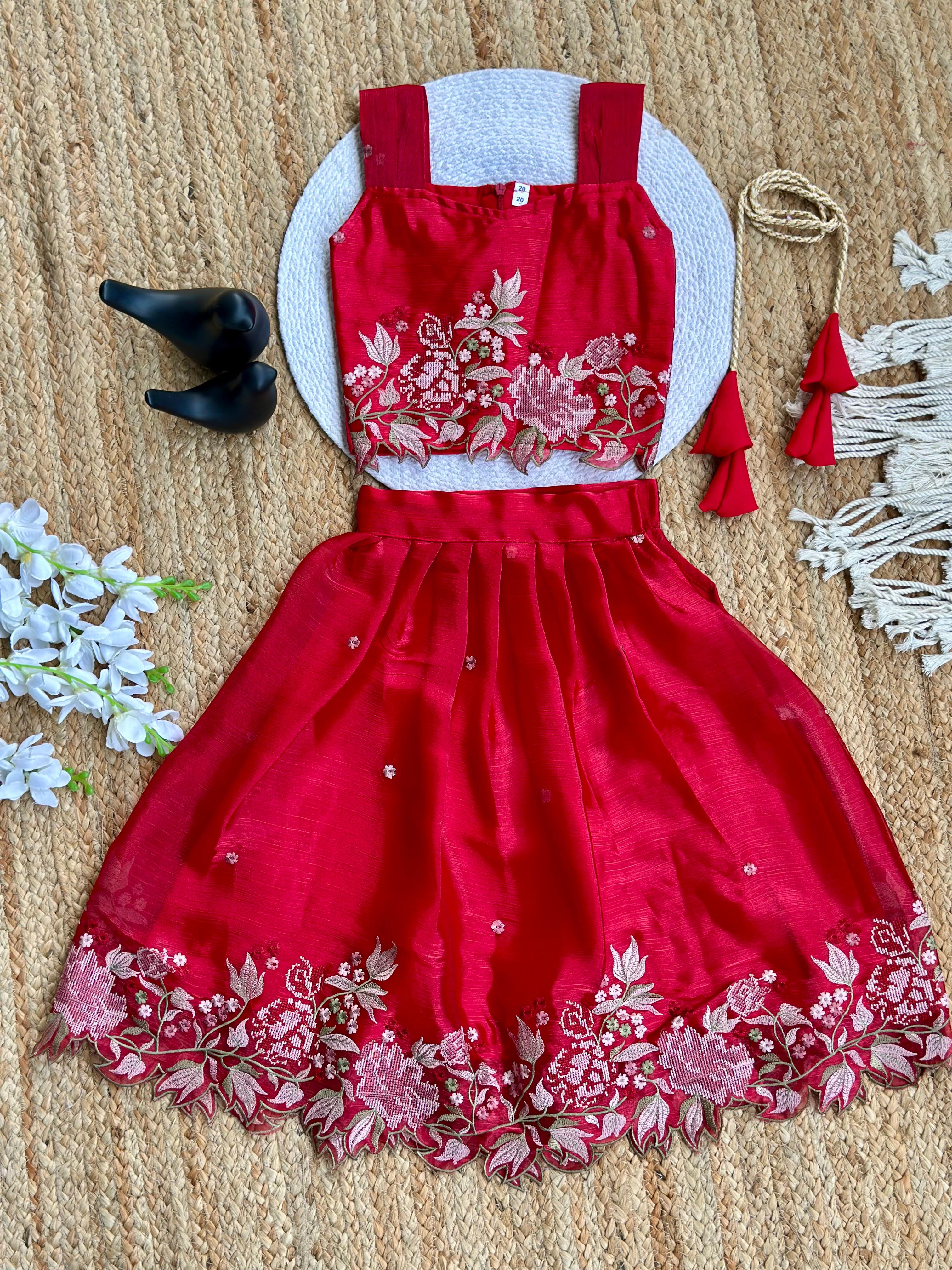 Innovative Jimmy-chu Beautiful Embroidery work Fabric Lahenga Choli
