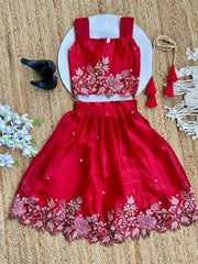 Innovative Jimmy-chu Beautiful Embroidery work Fabric Lahenga Choli